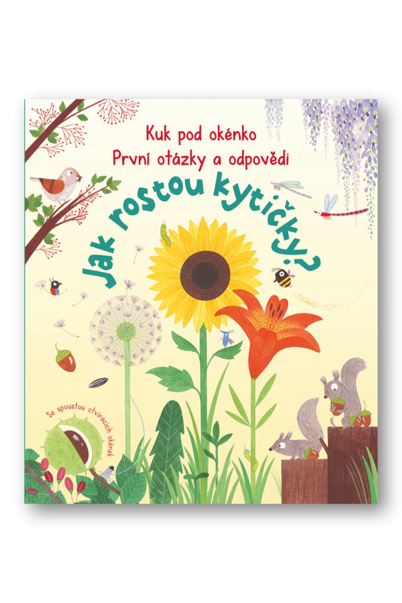 Kniha Jak rostou kytičky? - První otázky a odpovědi