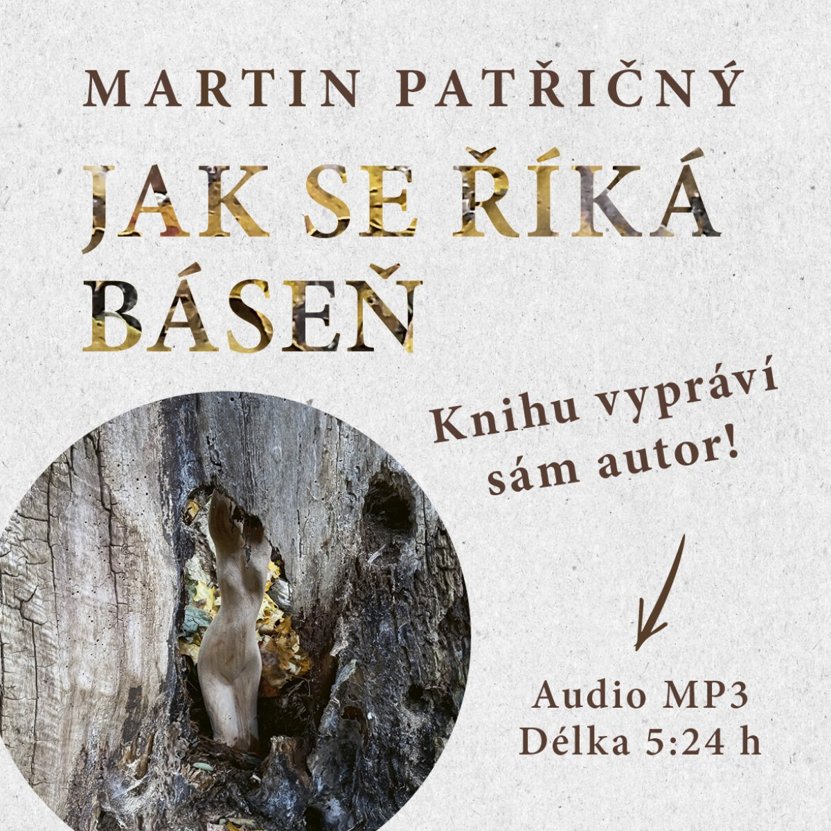 Levně Jak se říká báseň - Martin Patřičný - audiokniha