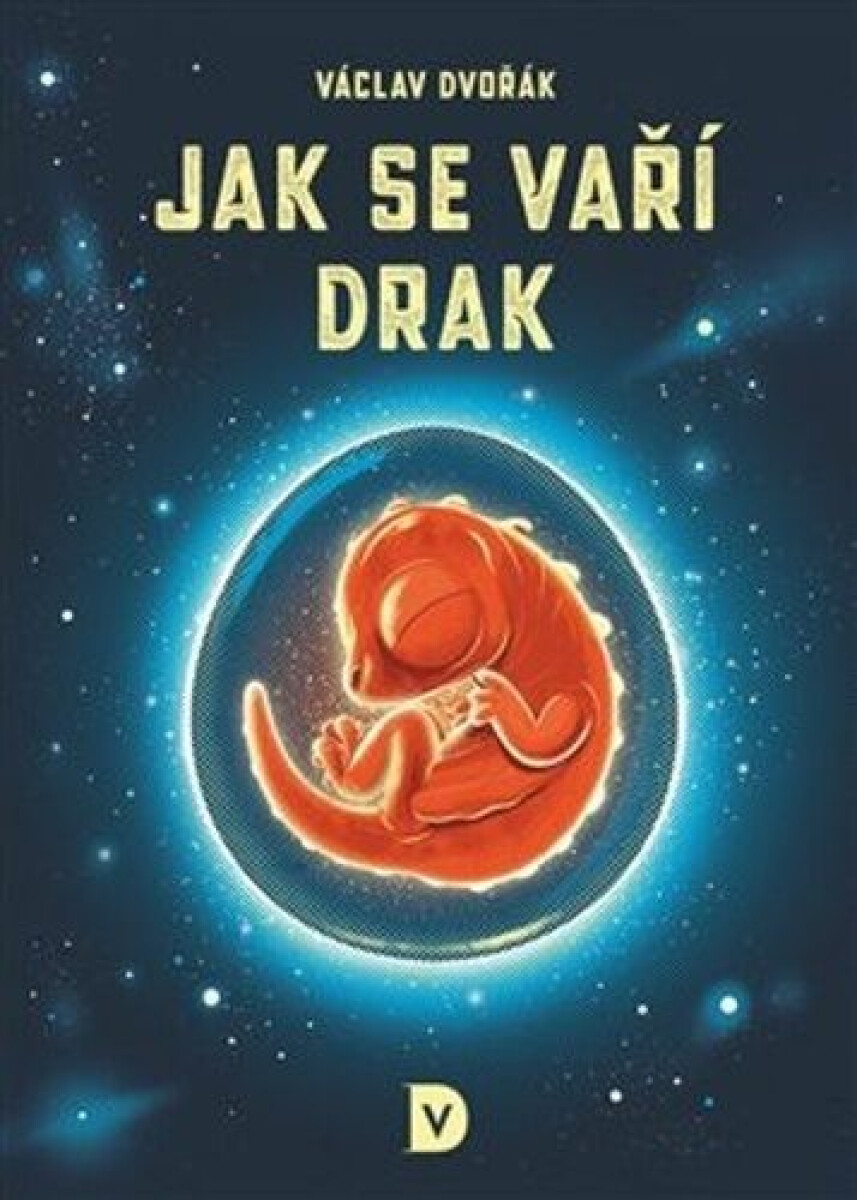Kniha Jak se vaří drak
