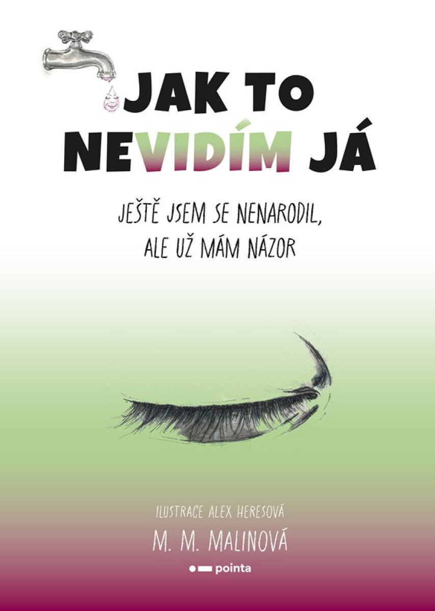 Kniha Jak to nevidím já