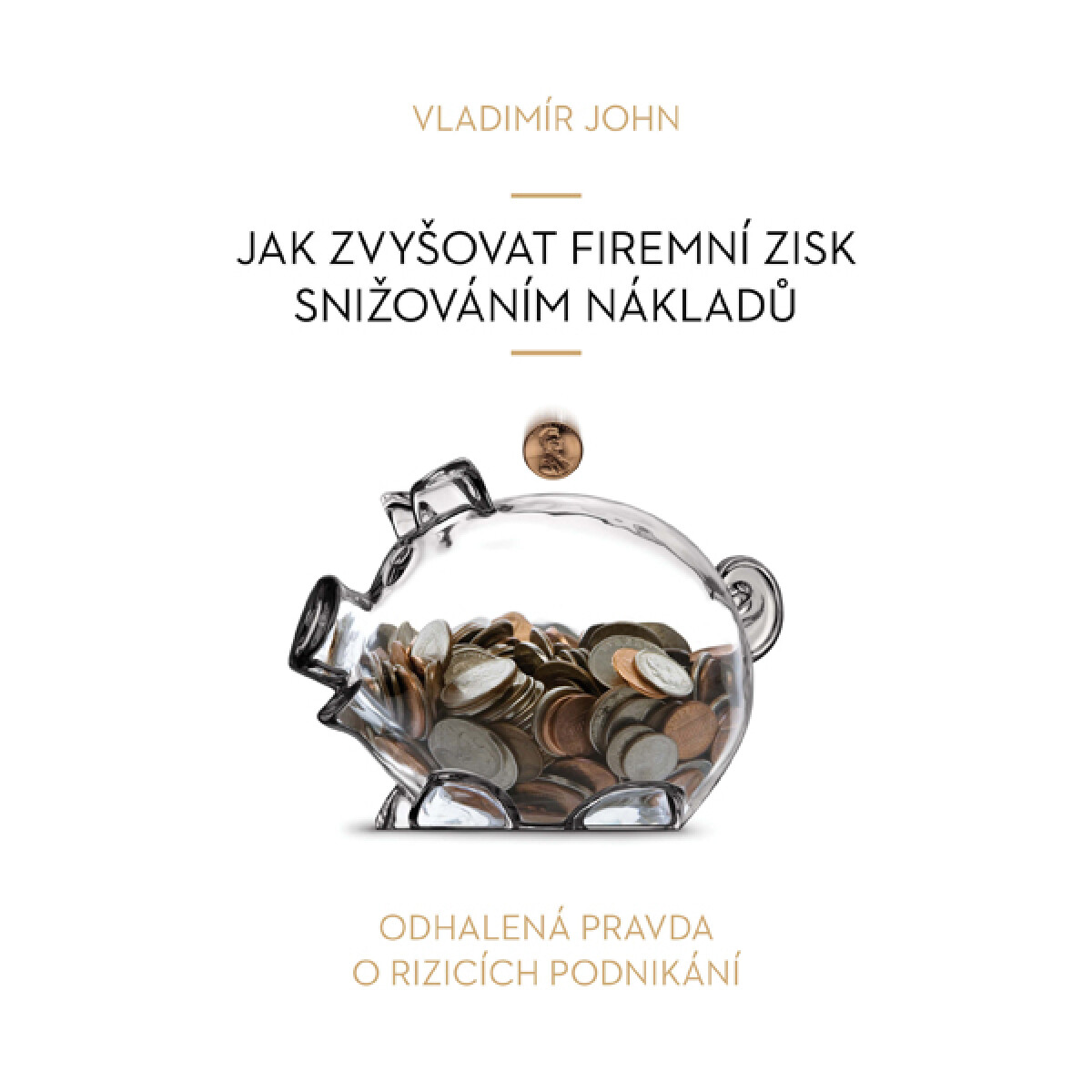 Levně Jak zvyšovat firemní zisk snižováním nákladů - Vladimír John - audiokniha