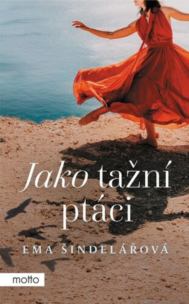 Kniha Jako tažní ptáci
