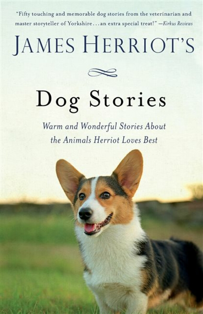 Kniha James Herriot's Dog Stories