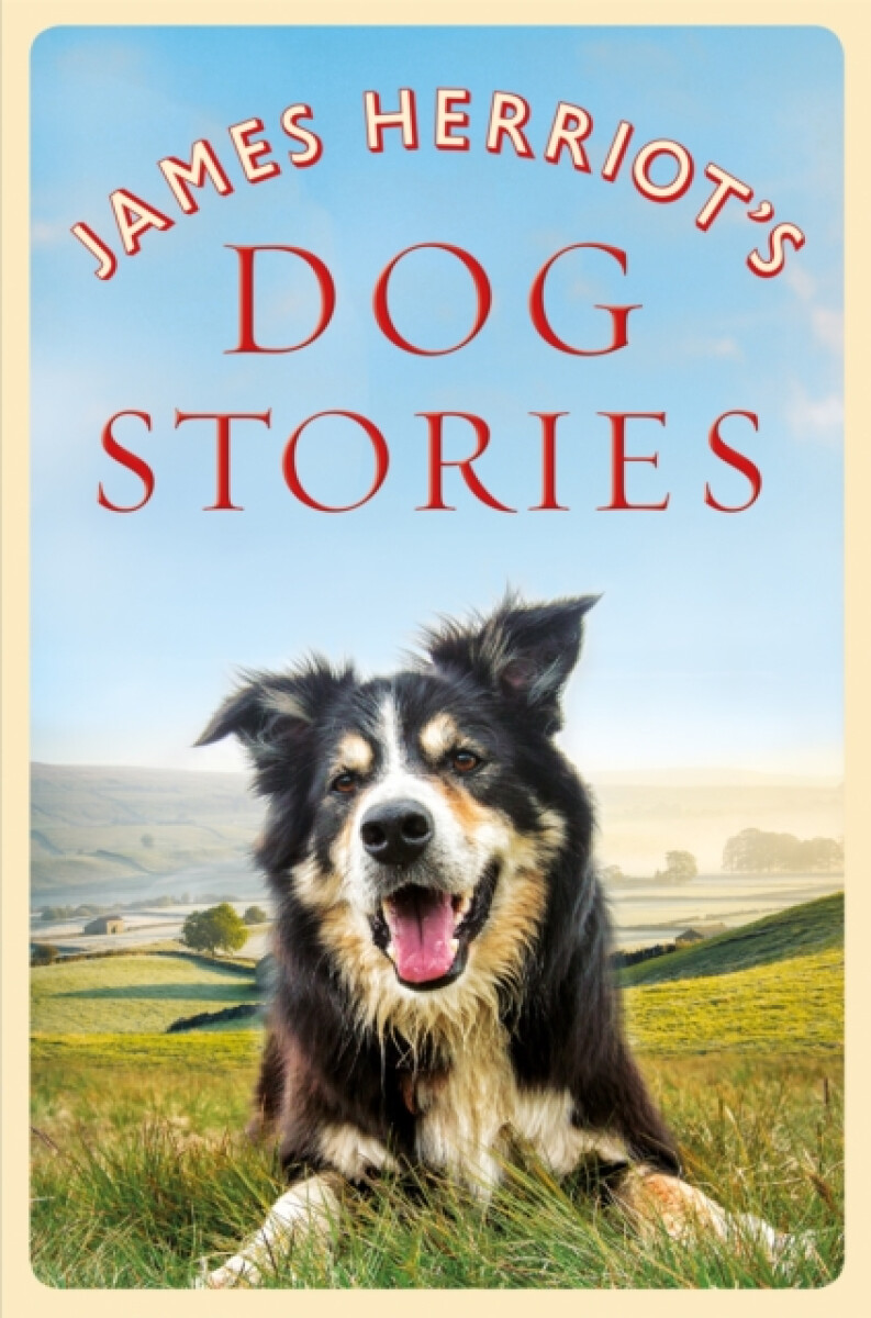 Kniha James Herriot's Dog Stories