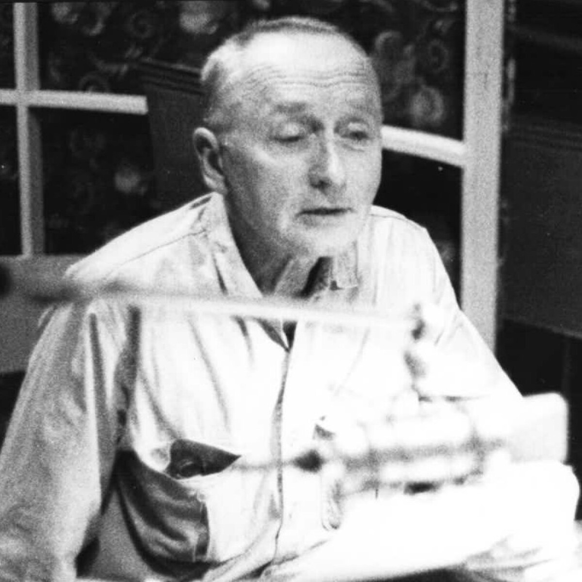 Jan houslista - Josef Hora