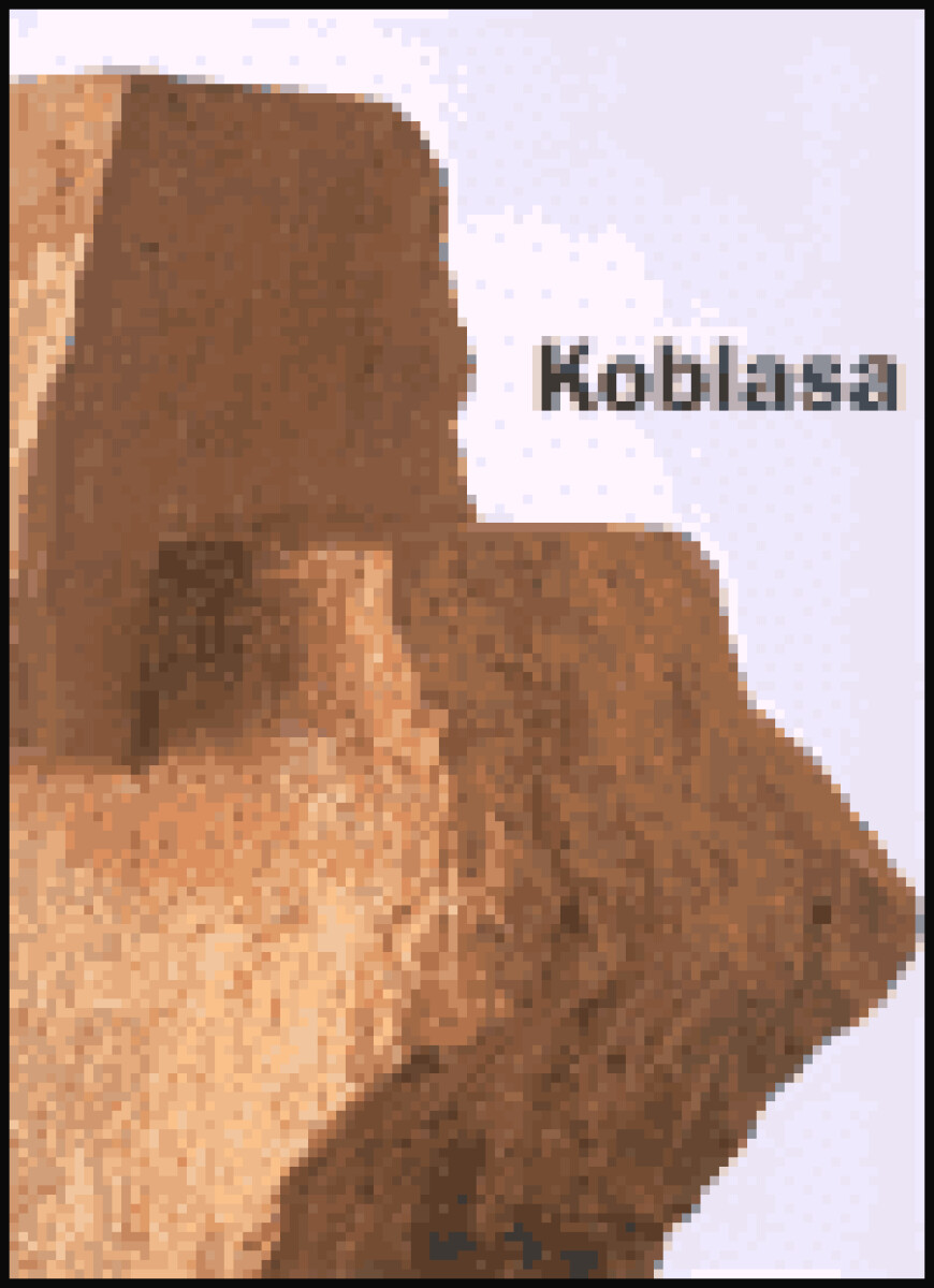 Kniha Jan Koblasa (česky)