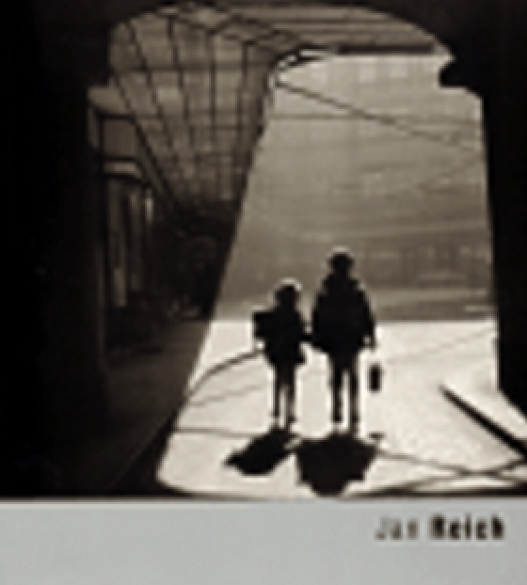 Kniha Jan Reich