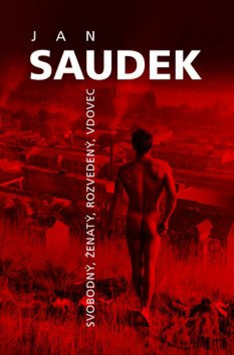 Kniha Svobodný, ženatý, rozvedený, vdovec