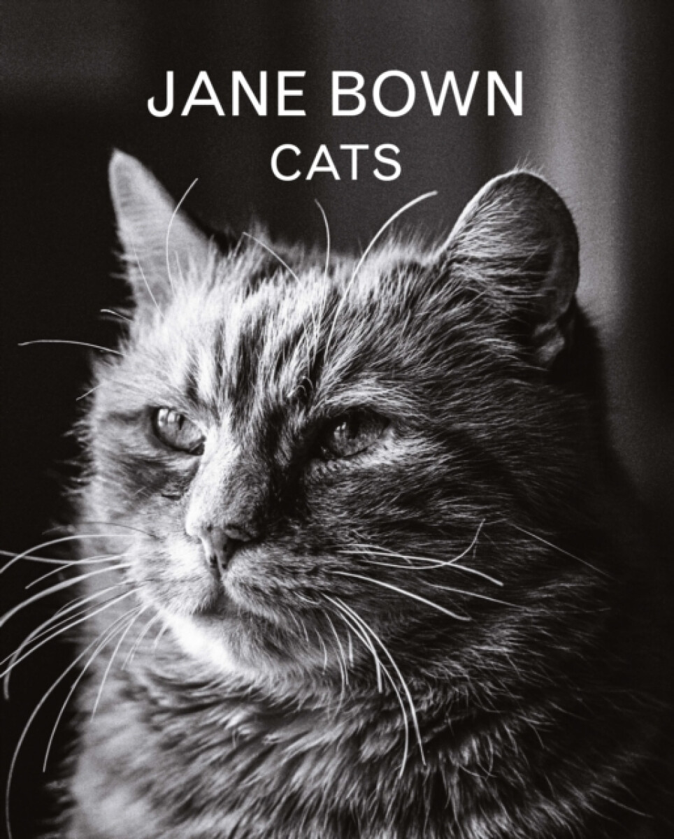 Kniha Jane Bown: Cats