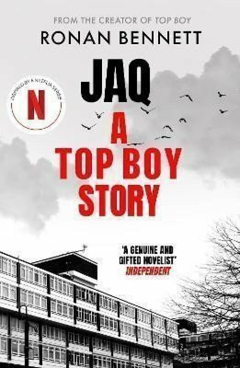 Kniha Jaq, A Top Boy Story