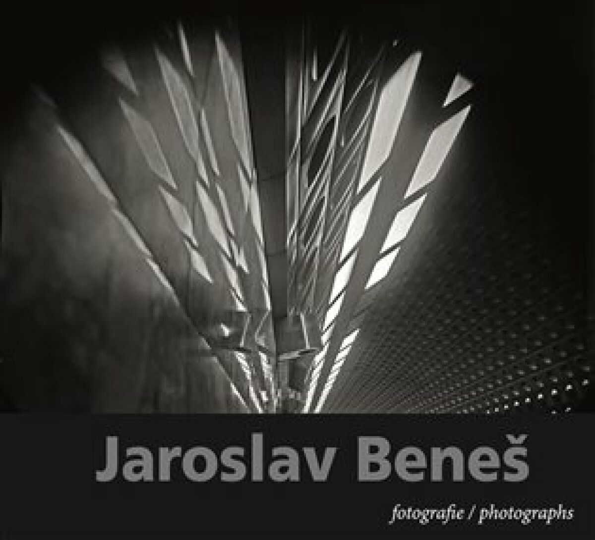 Kniha Jaroslav Beneš