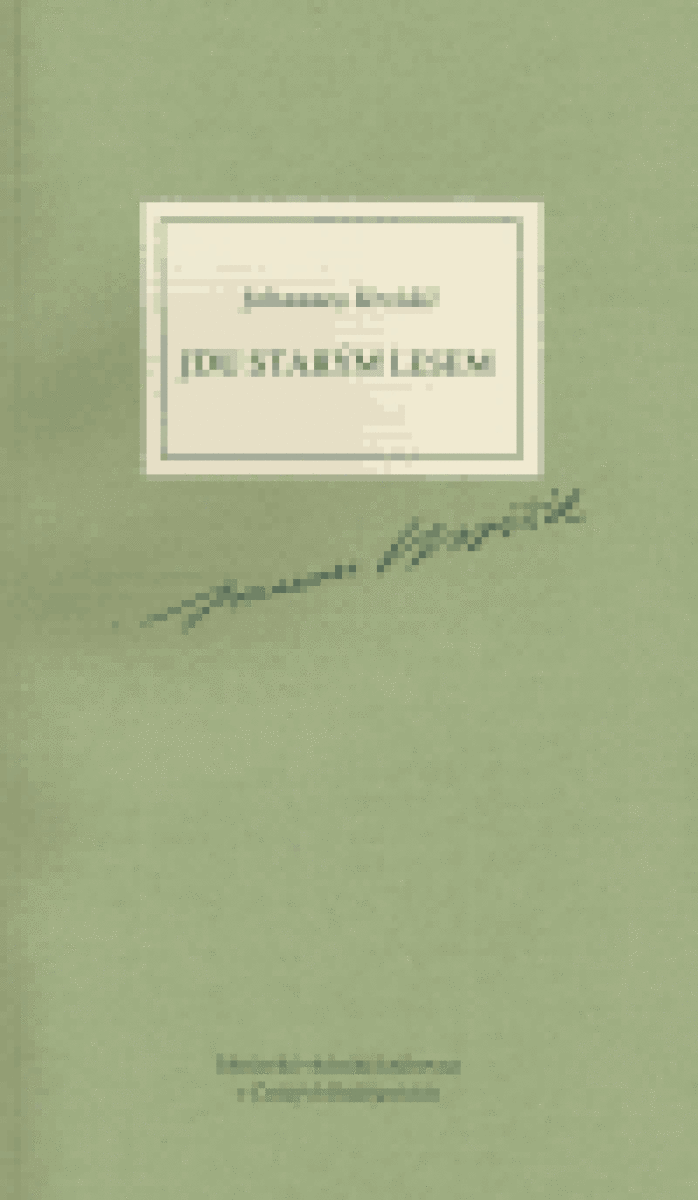 Jdu starým lesem (poškozená)