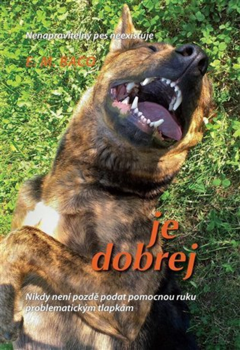 Kniha Je dobrej