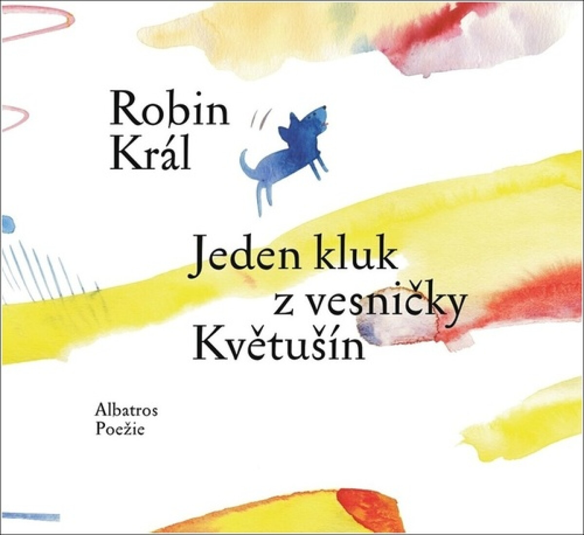 Kniha Jeden kluk z vesničky Květušín
