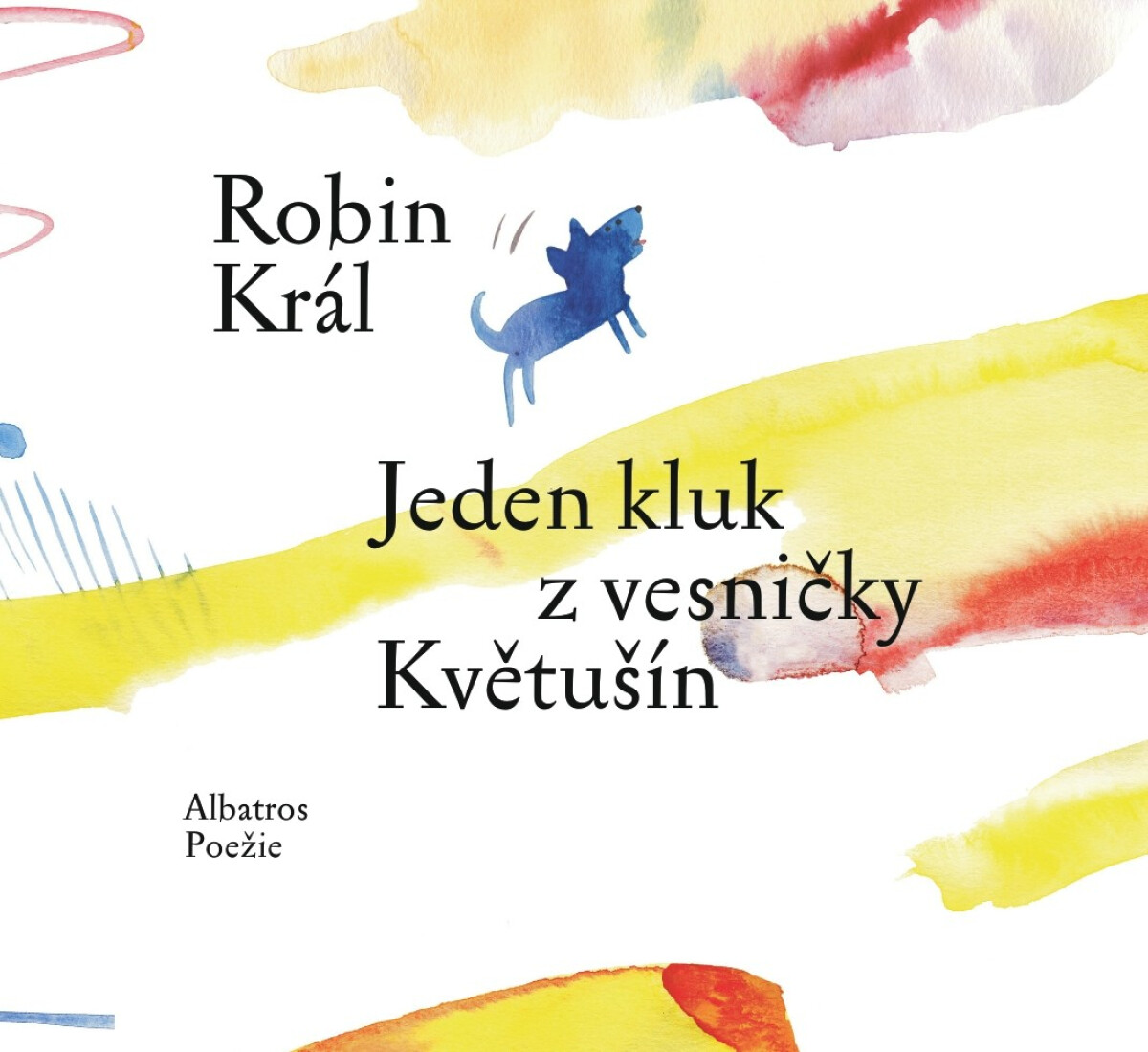 Levně Jeden kluk z vesničky Květušín - Robin Král