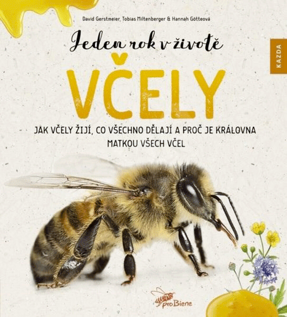Kniha Jeden rok v životě včely - Jak včely žijí, co všechno dělají a proč je královna matkou všech včel