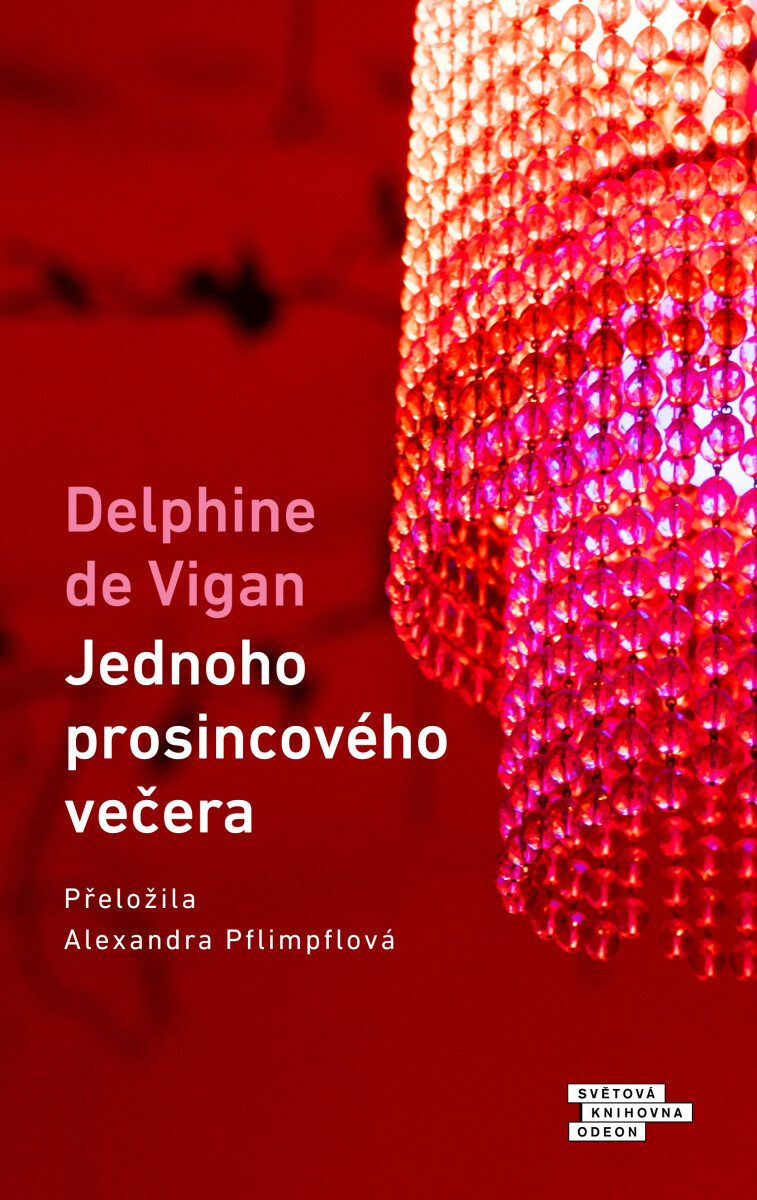 Jednoho prosincového večera - Delphine de Vigan