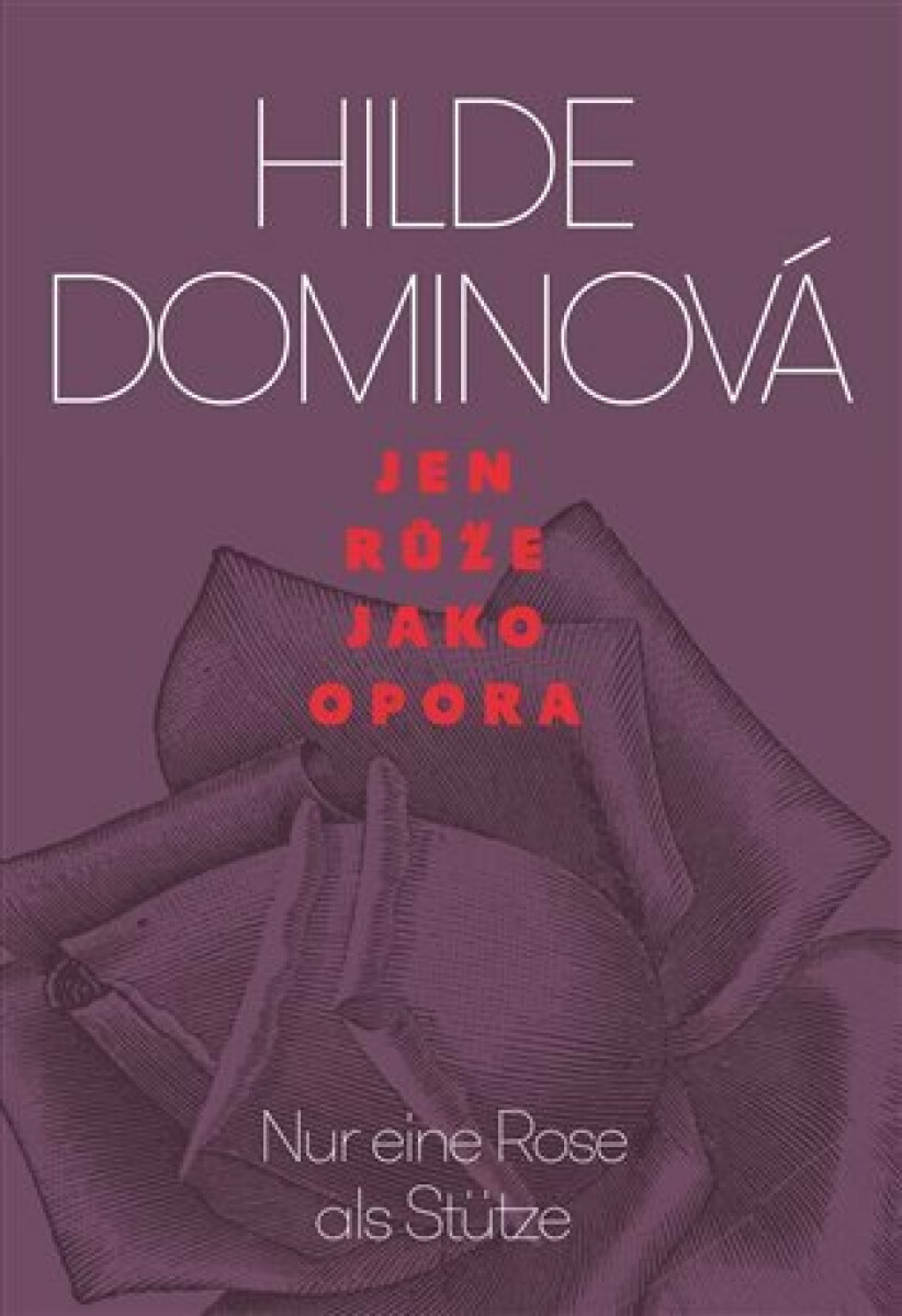 Kniha Jen růže jako opora / Nur eine Rose als Stütze