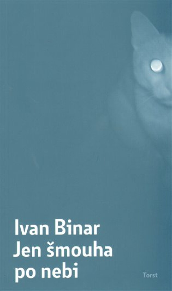 Kniha Jen šmouha po nebi (Defekt)