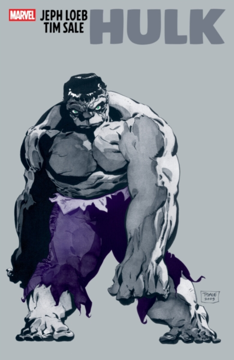 Kniha Jeph Loeb & Tim Sale: Hulk