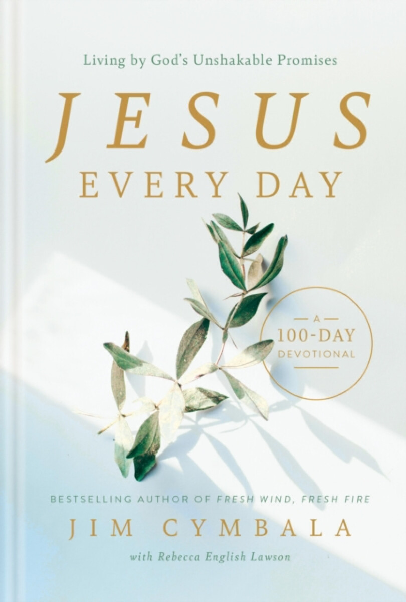 Kniha Jesus Every Day