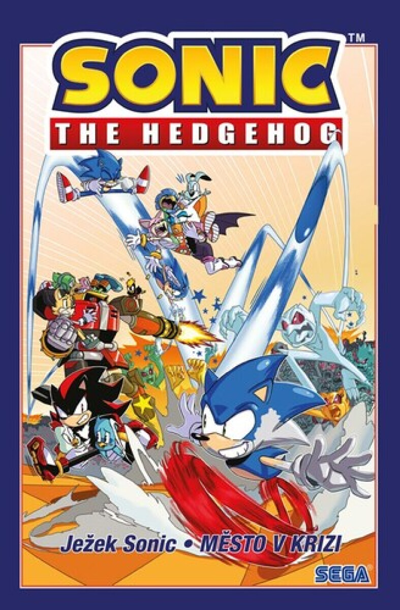 Kniha Ježek Sonic 5 - Město v krizi