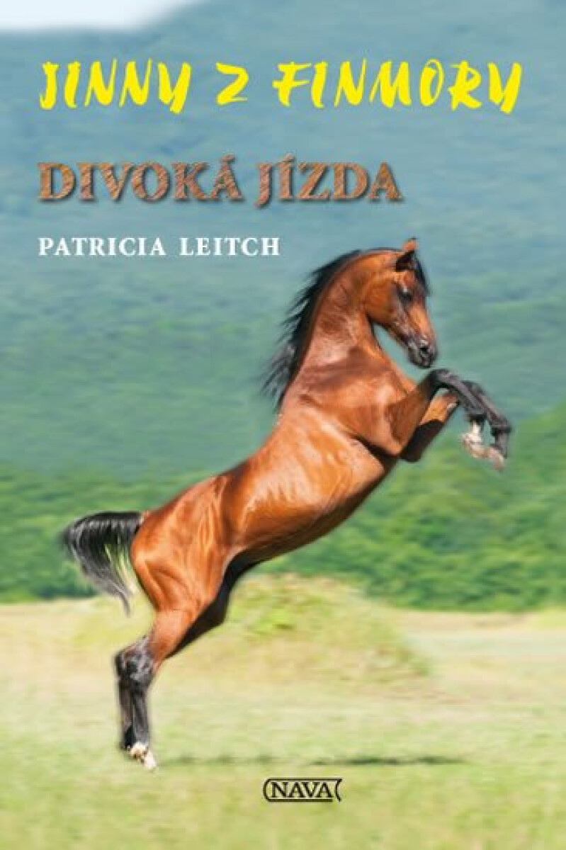 Kniha Jinny z Finmory Divoká jízda