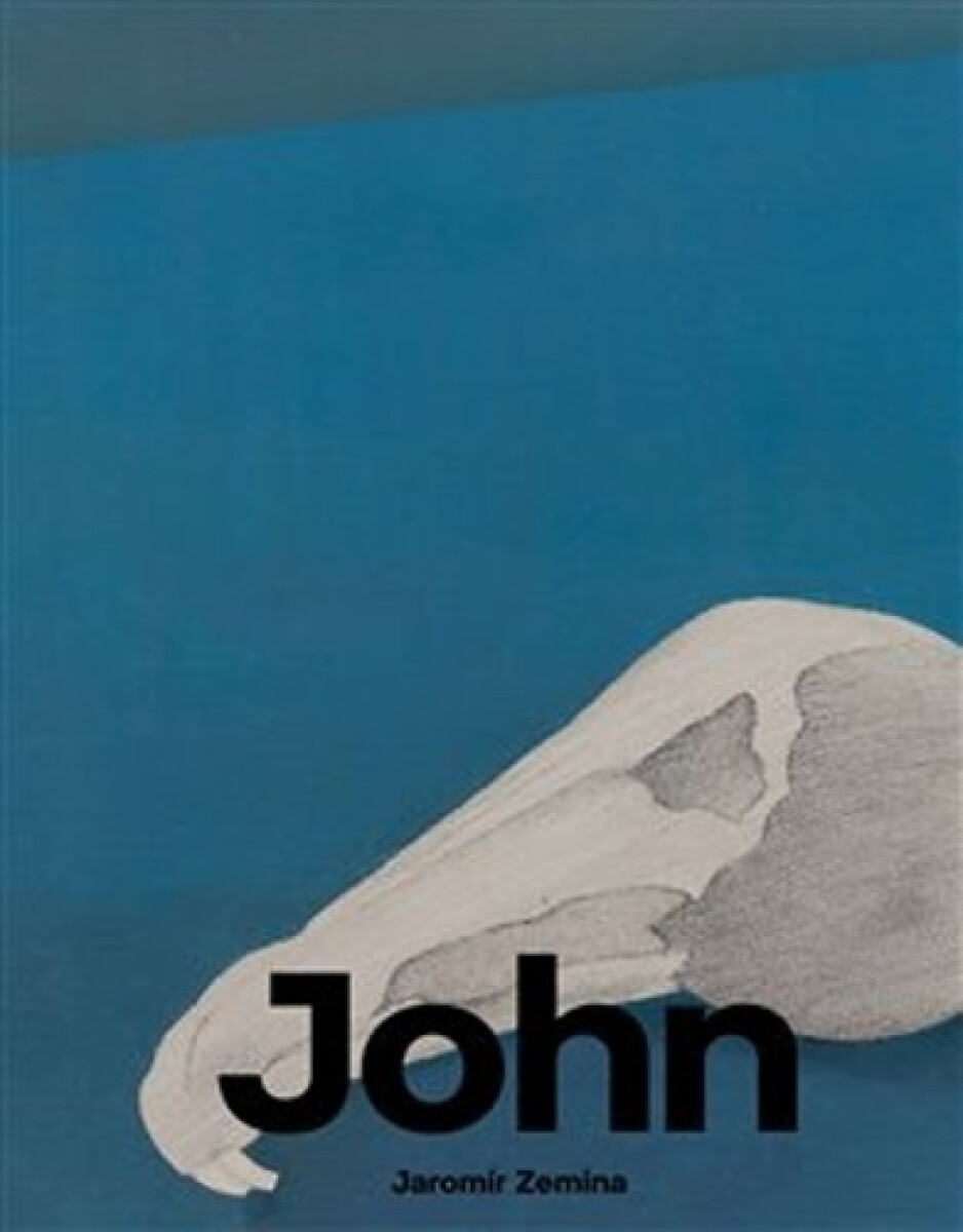 Kniha Jiří John