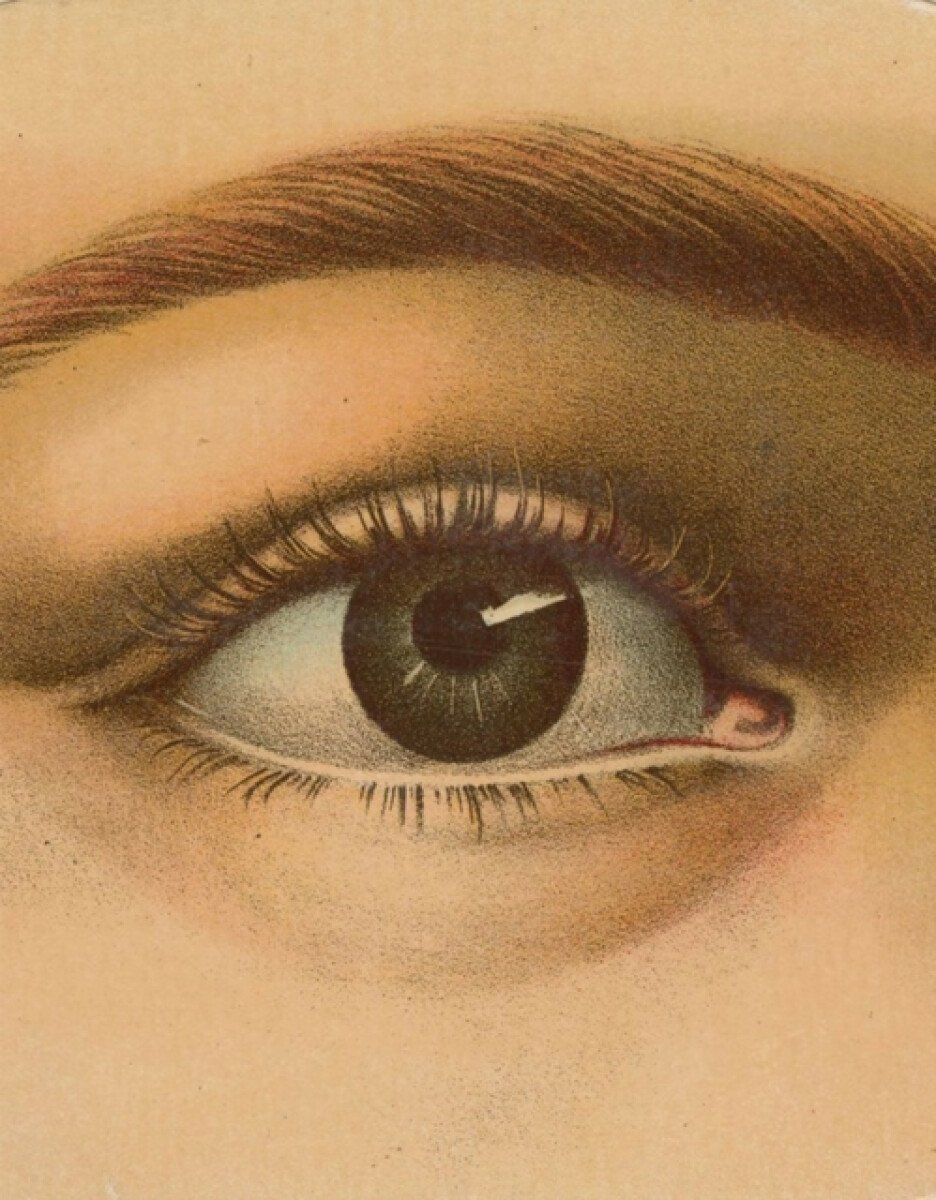 Kniha John Derian Picture Book