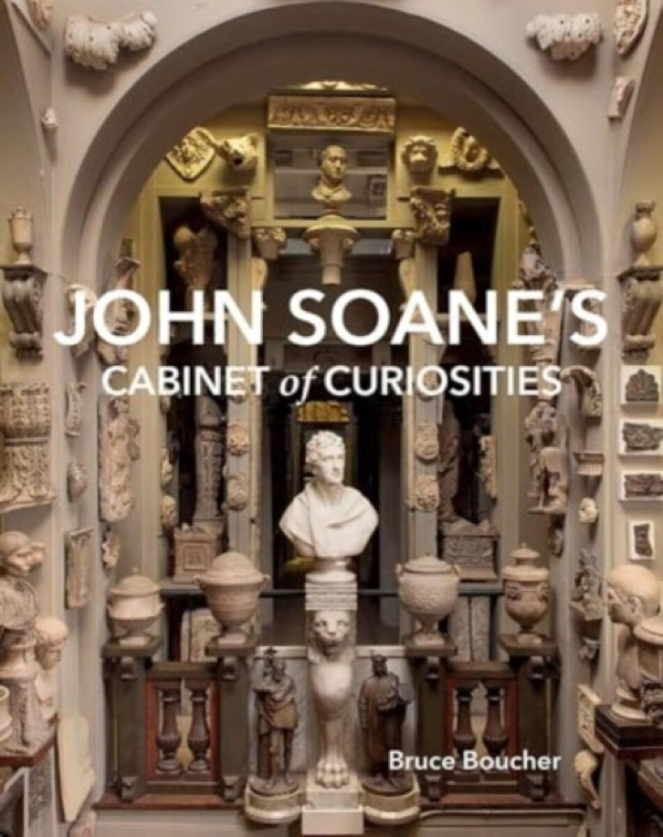 Kniha John Soane's Cabinet of Curiosities