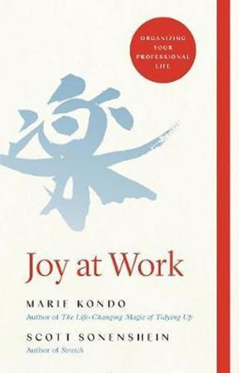 Kniha Joy at Work