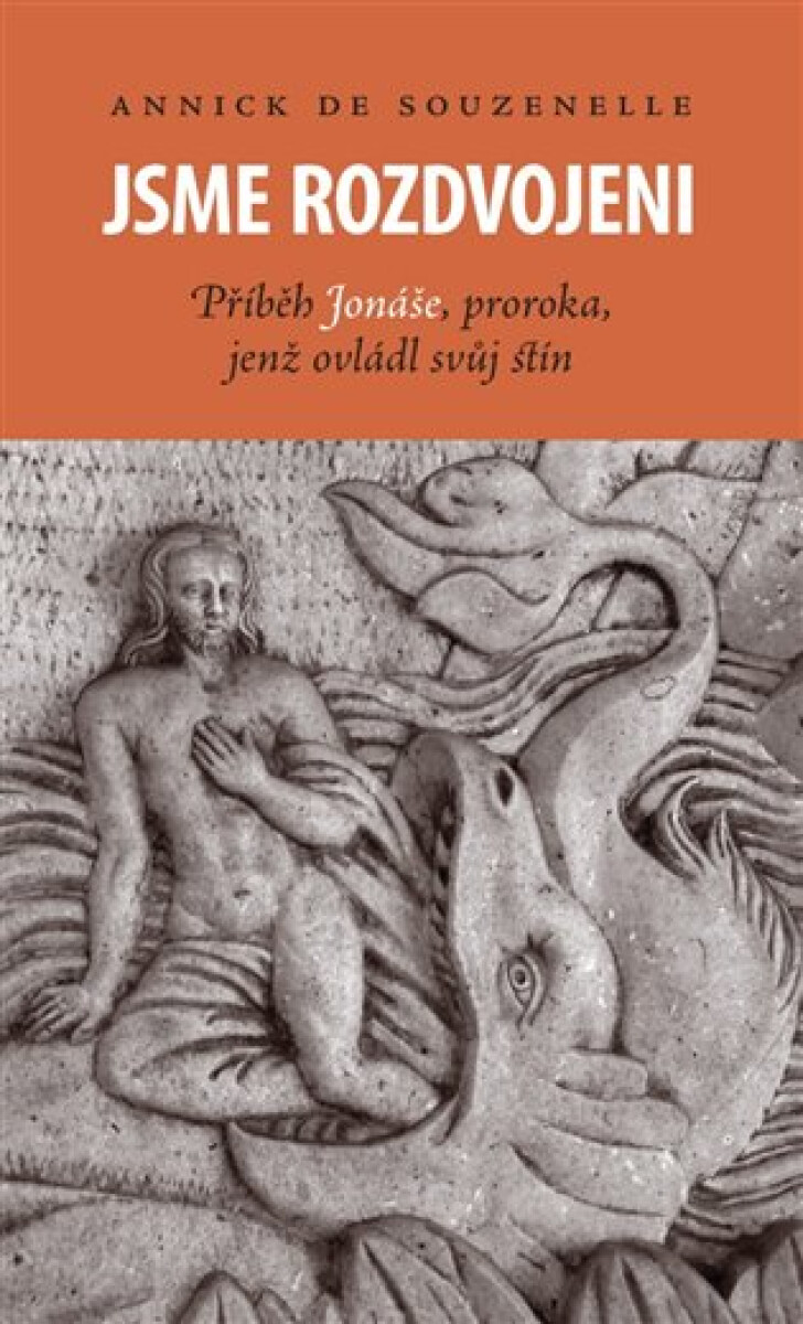 Kniha Jsme rozdvojeni