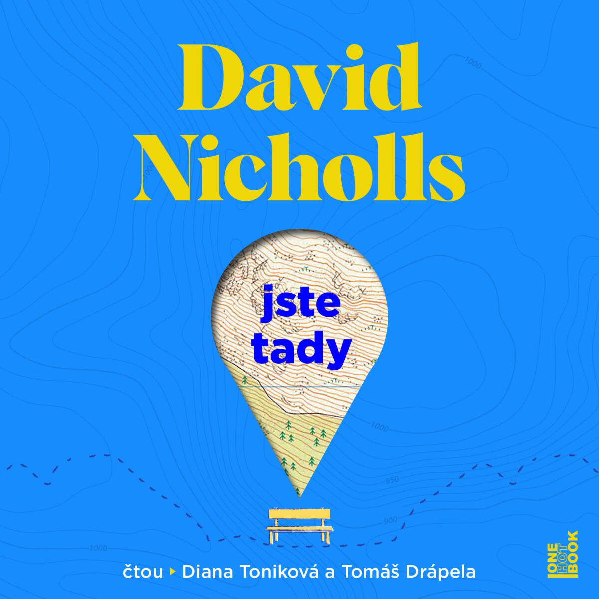 Levně Jste tady - David Nicholls - audiokniha