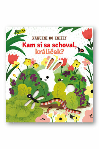 Kam si sa schoval, králiček?