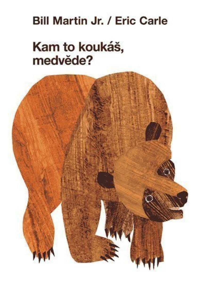 Kniha Kam to koukáš, medvěde?