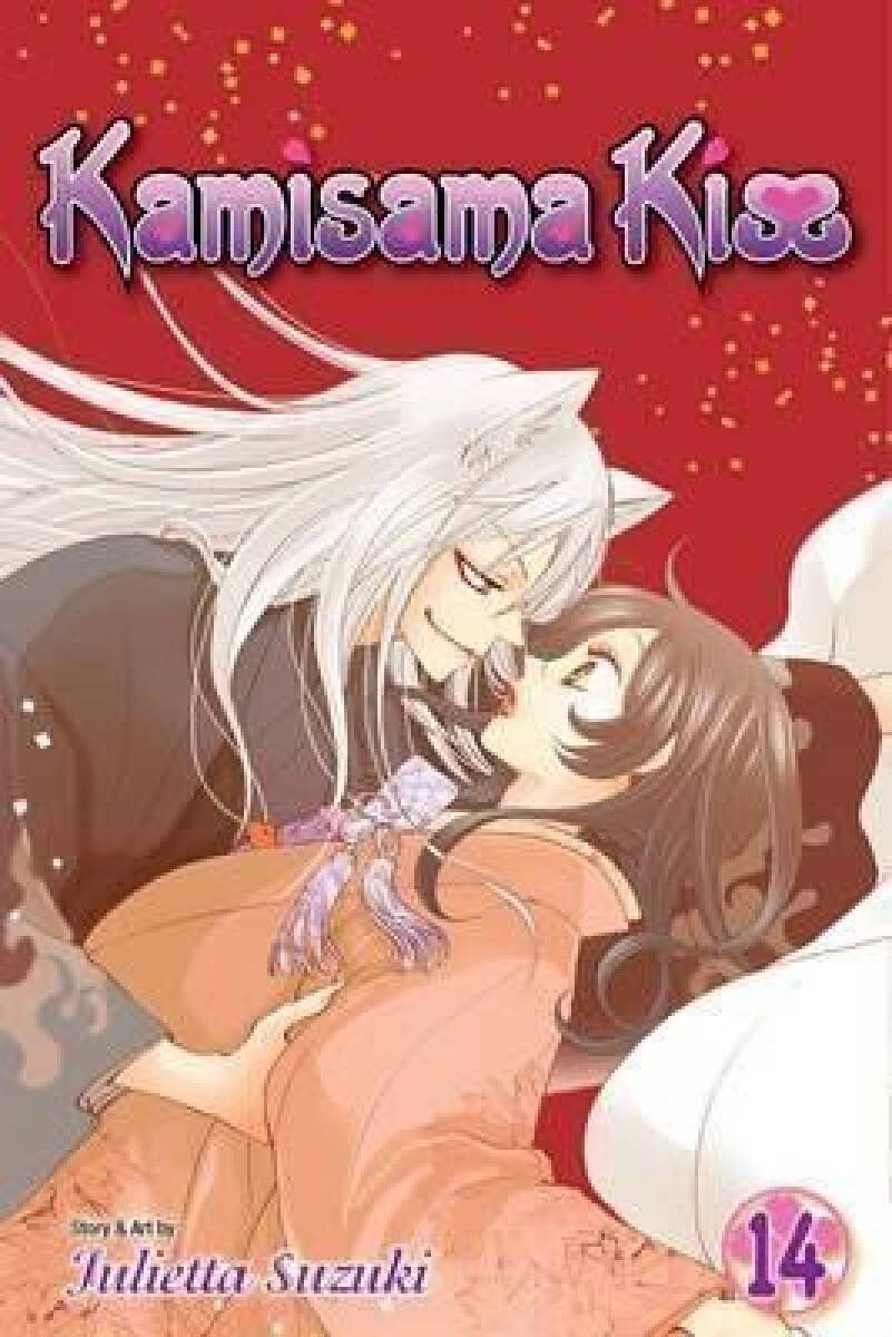 Kniha Kamisama Kiss 14