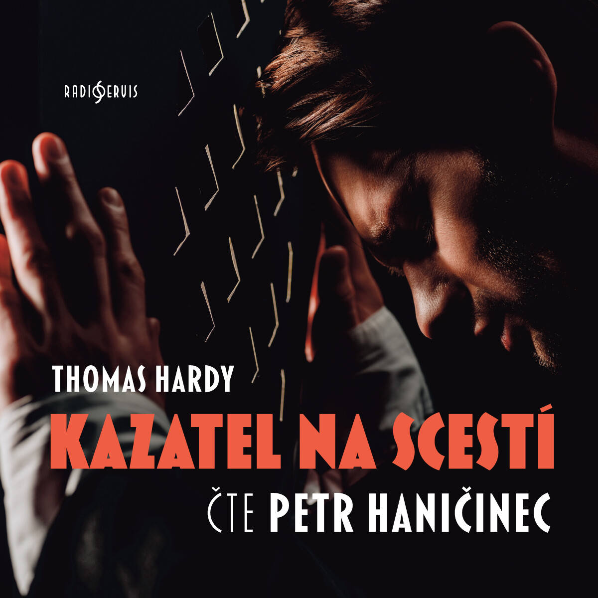 Kazatel na scestí - Thomas Hardy - audiokniha