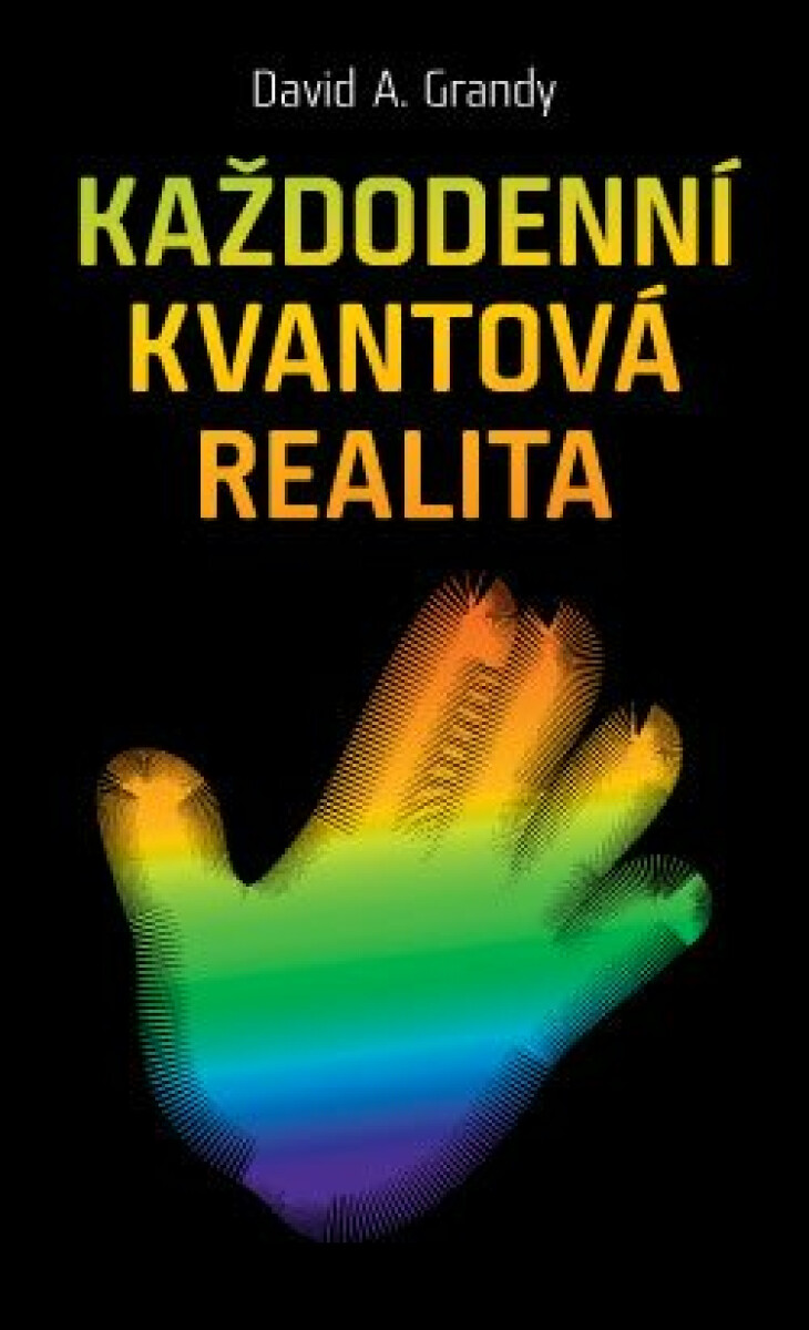 Každodenní kvantová realita - David A. Grandy