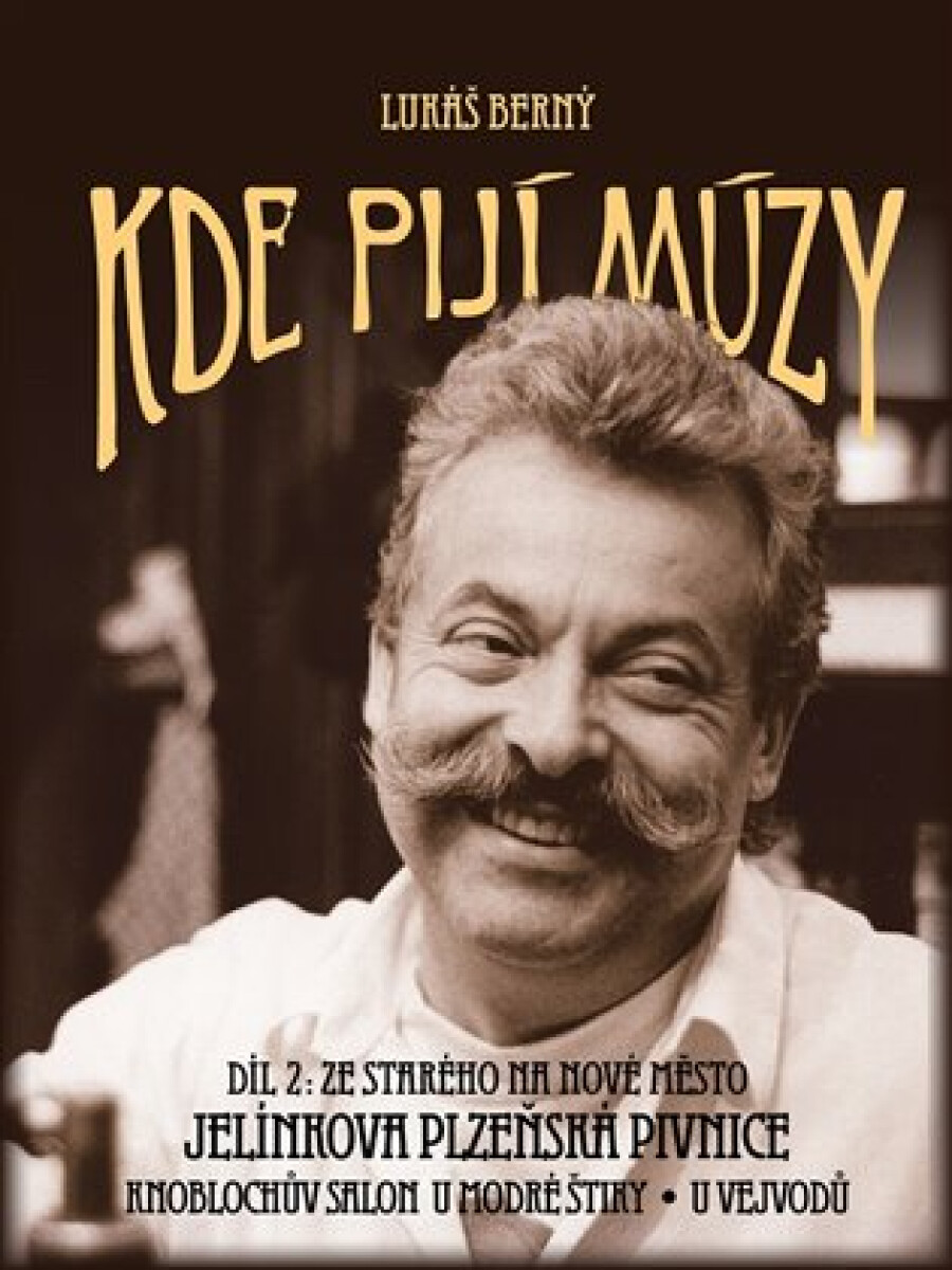 Kniha Kde pijí múzy 2 - Ze Starého na Nové Město