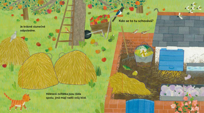 Kdo se to tu schovává? Na dvoře - Katherine McEwenová (obrázek 4)
