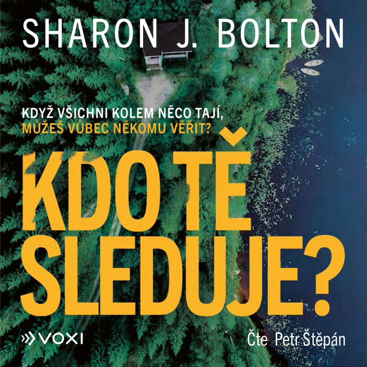 Levně Kdo tě sleduje? - Sharon J. Bolton - audiokniha