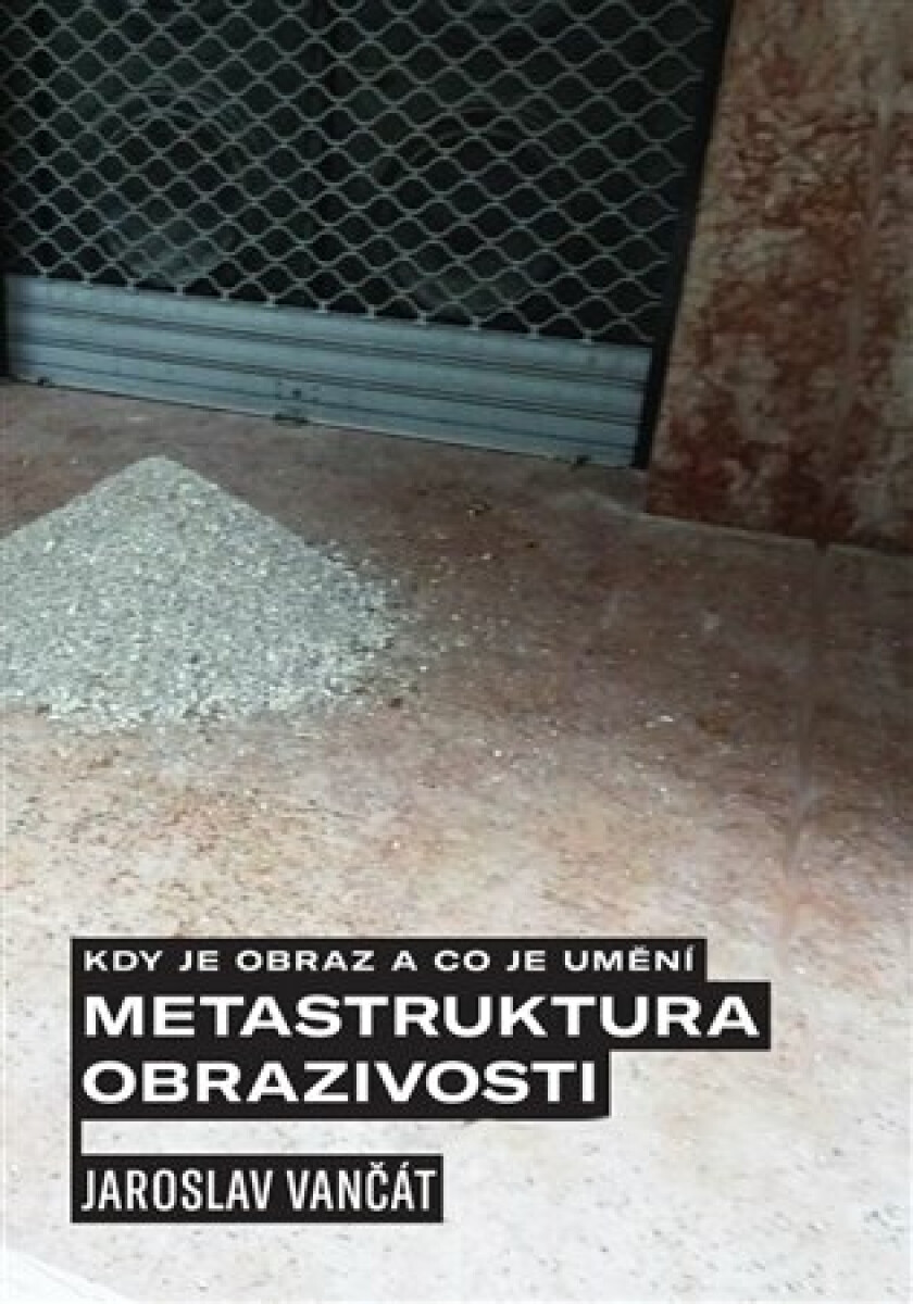 Kniha Kdy je obraz a co je umění. Metastruktura obrazivosti