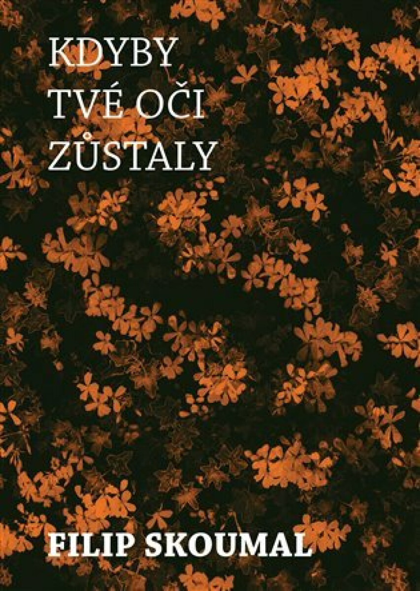 Kniha Kdyby tvé oči zůstaly