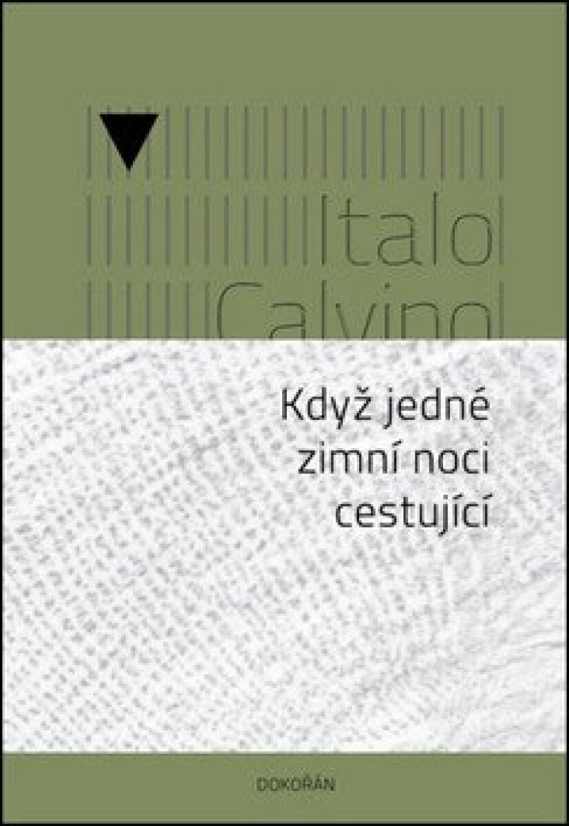 Kniha Když jedné zimní noci cestující