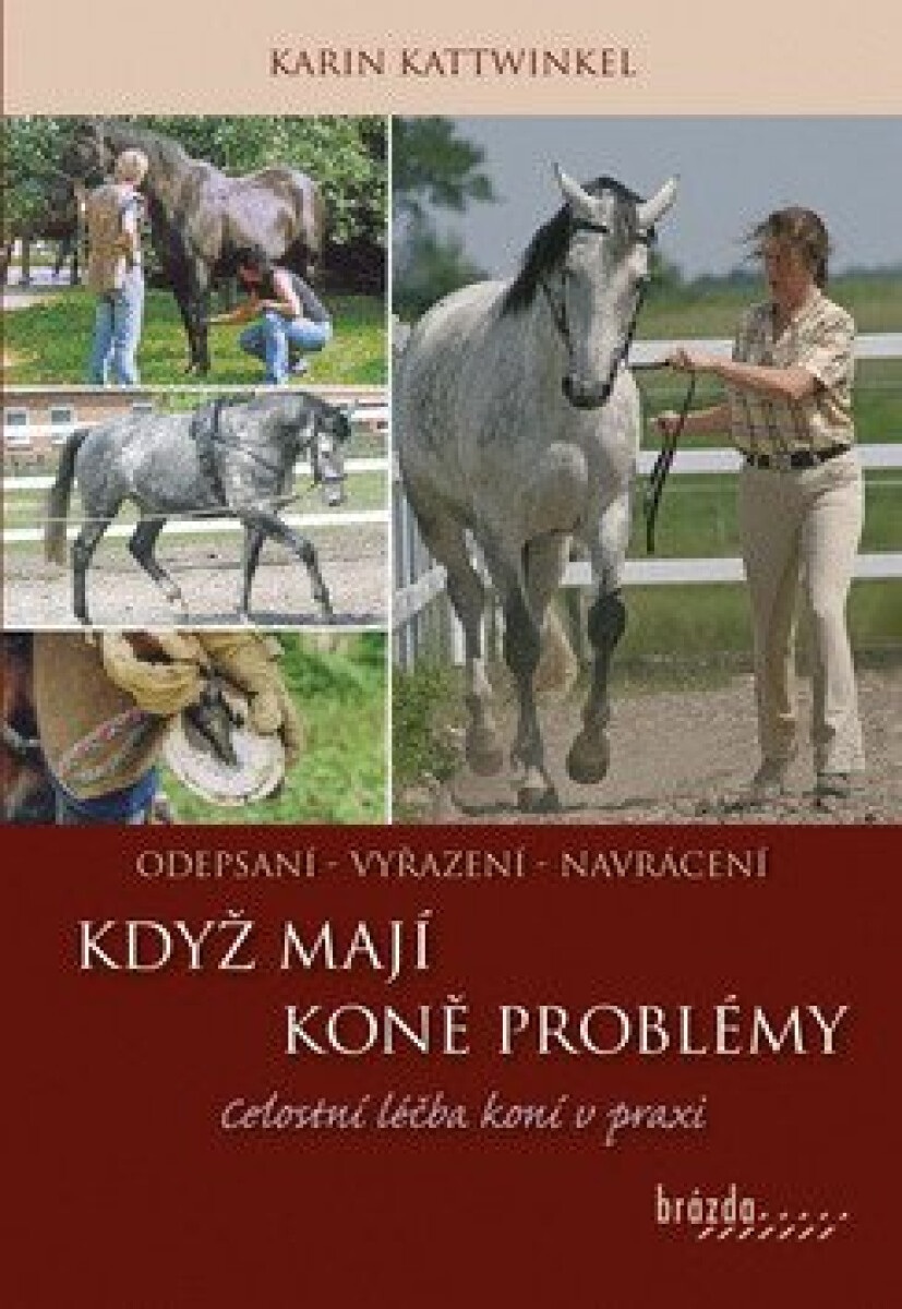 Když koně mají problémy - Celostní léčba koní v praxi - Karin Kattwinkel