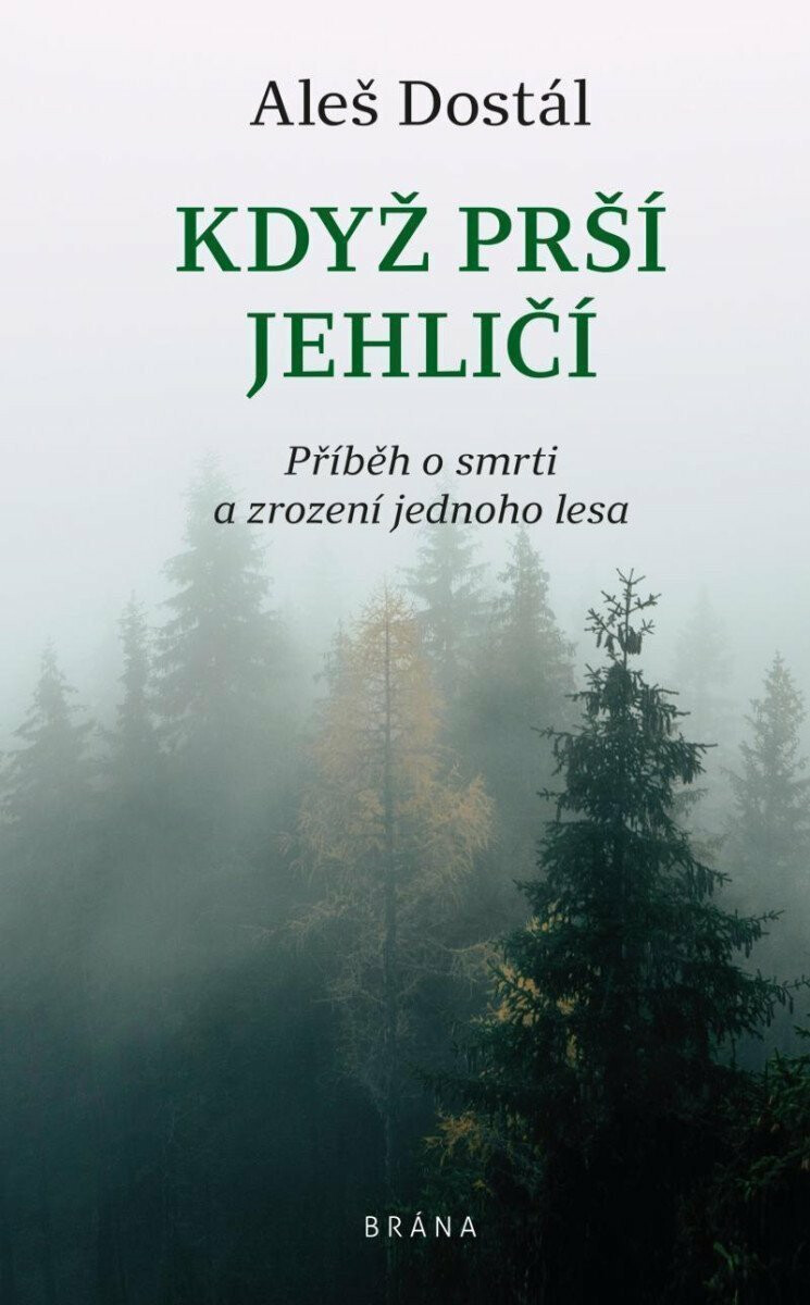 Kniha Když prší jehličí