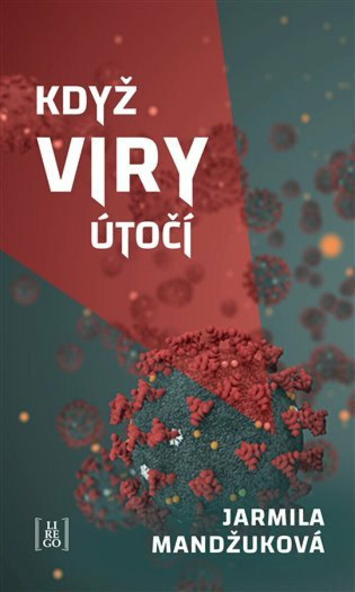 Kniha Když viry útočí