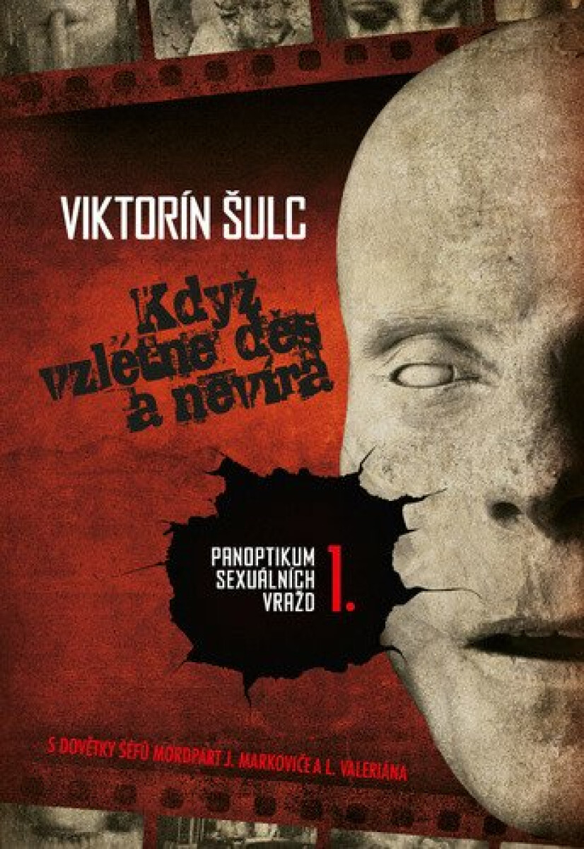Kniha Když vzlétne děs a nevíra - Panoptikum sexuálních vražd 1., 2. vydání