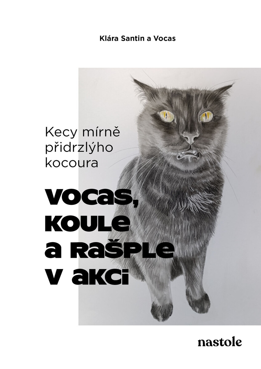 Levně Kecy mírně přidrzlýho kocoura - Klára Santin