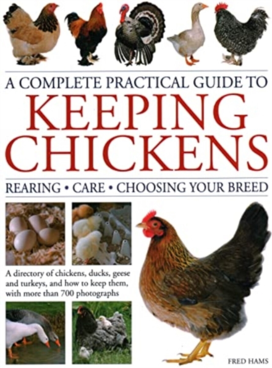 Kniha Keeping Chickens, Complete Practical Guide to
